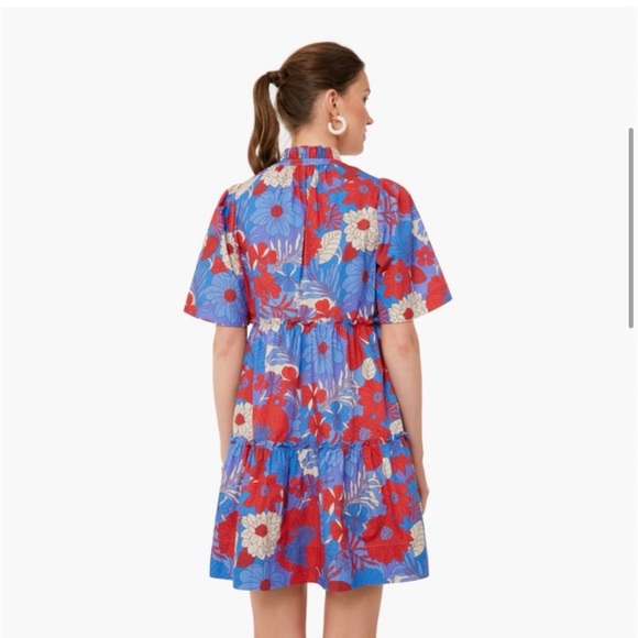 Tuckernuck Blue Rhapsody Crawford Dress - Picture 3 of 8